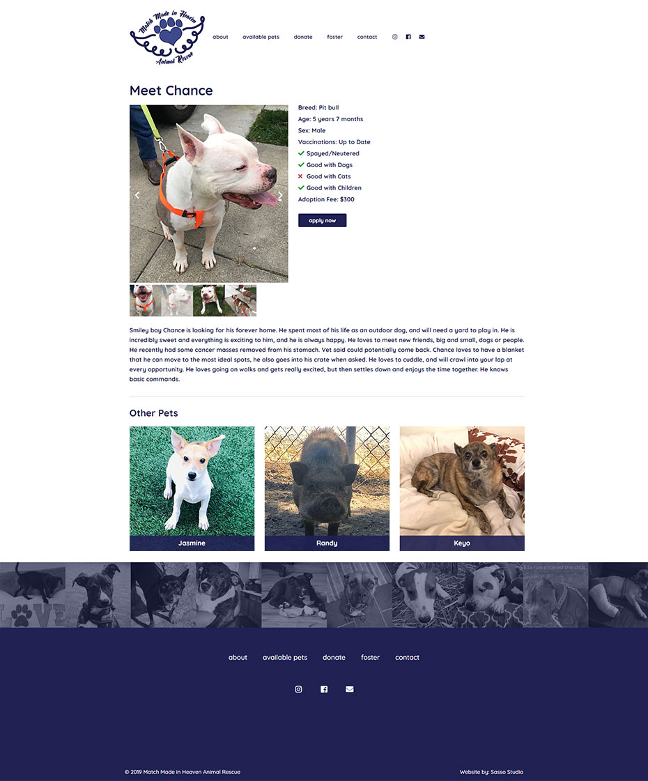 Match Made in Heaven Animal Rescue Pet Page